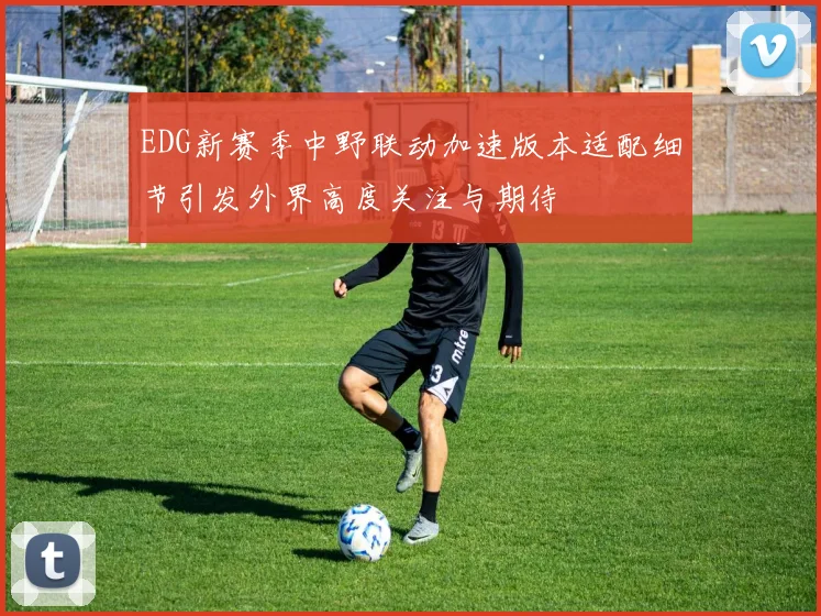 EDG新赛季中野联动加速版本适配细节引发外界高度关注与期待