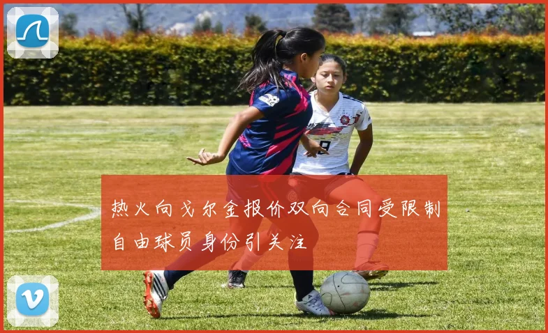 热火向戈尔金报价双向合同受限制自由球员身份引关注